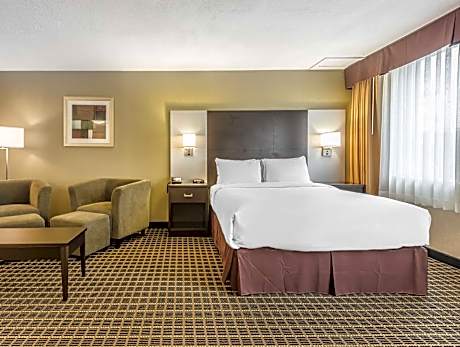 1 King Bed, Nonsmoking, Upgrade