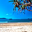 Apollo Jewel Beachfront Apartments