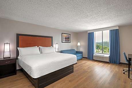 1 King Suite