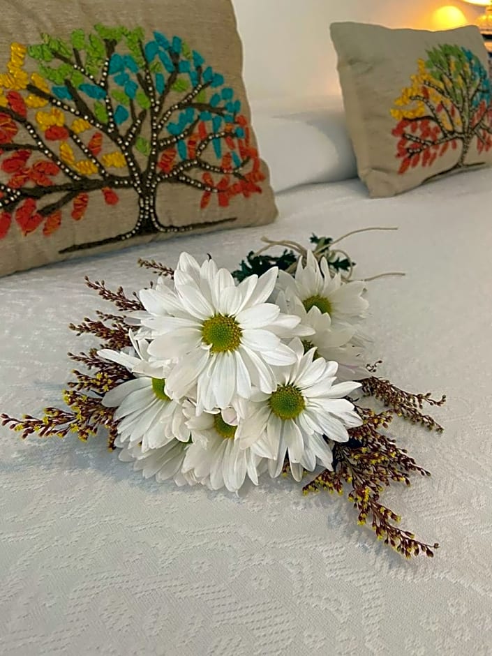 Casa Hridaya Hotel Boutique