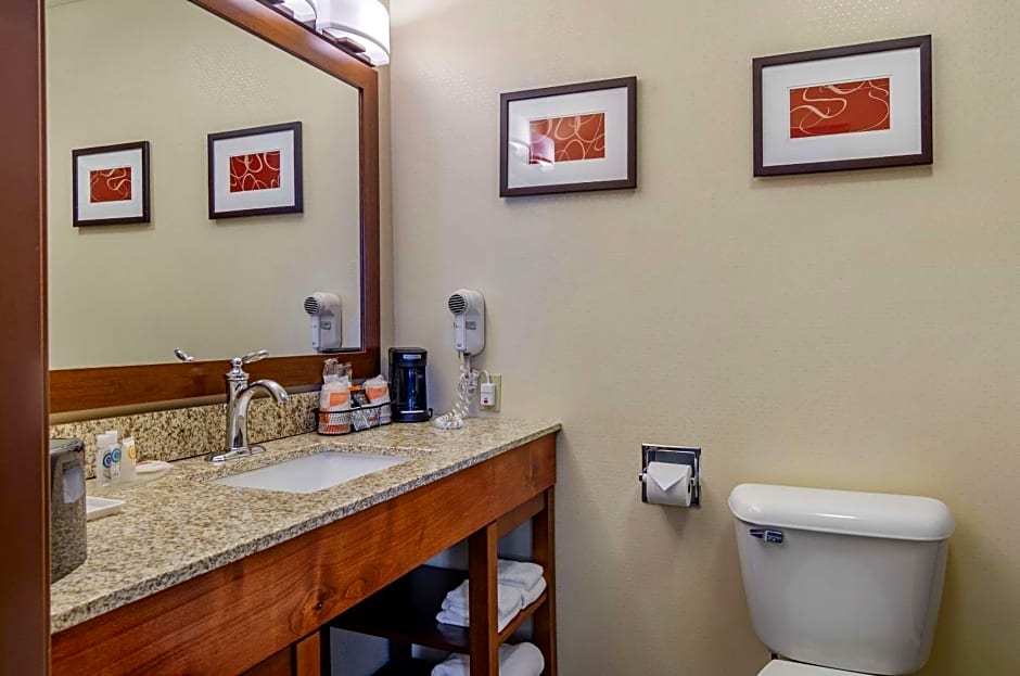 Comfort Inn Bozeman near University