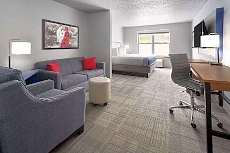 1 King Bed Studio Suite Non-Smoking