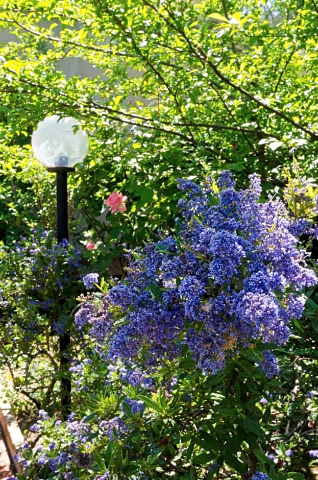 Il Giardino di Matilde