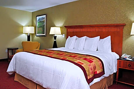 King Room with Kitchenette - Non-Smoking