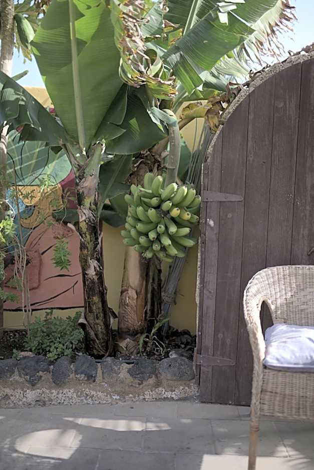 Los Amigos Nest Hostel