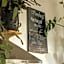 Cinnamon Sally Backpackers Hostel