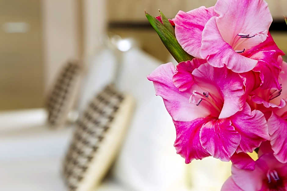 City Avenue Hotel by HMG