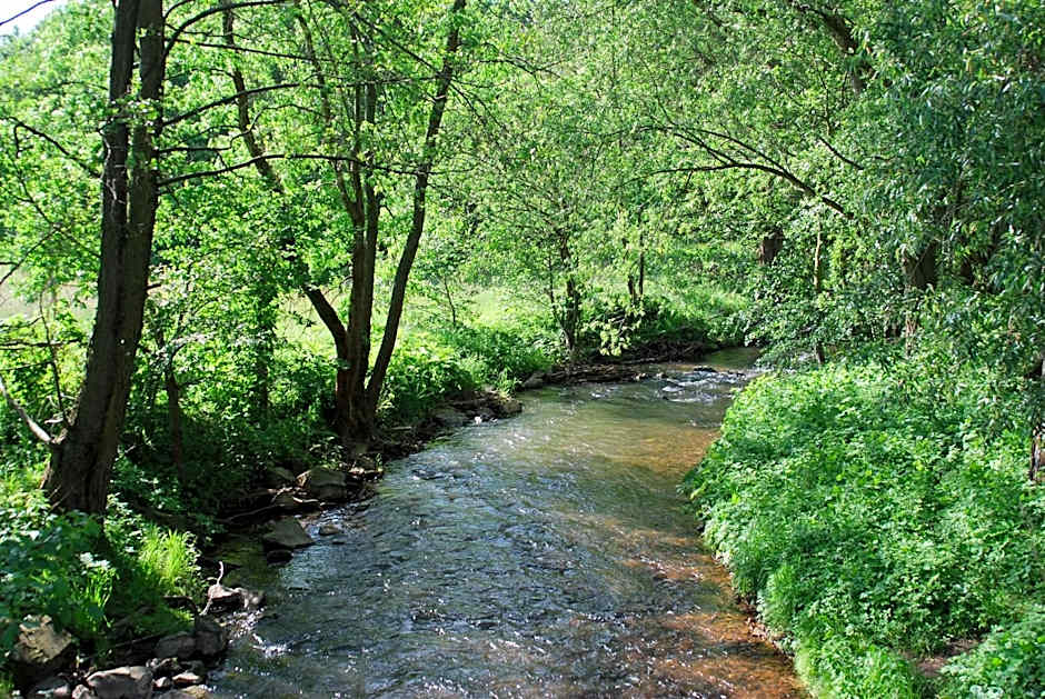 Hotel am Steinertsee - Kassel-Ost