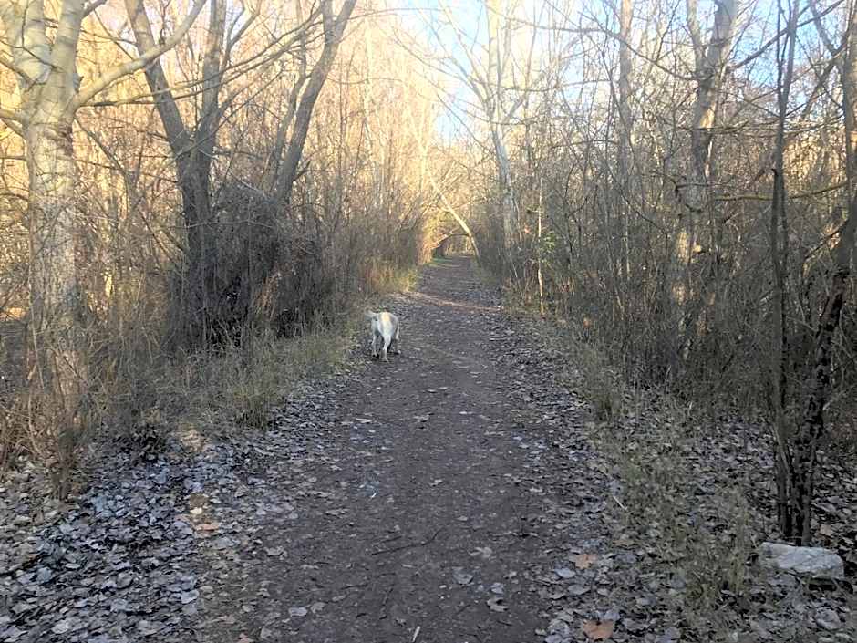 Apartamentos Duquesa Sierra Nevada