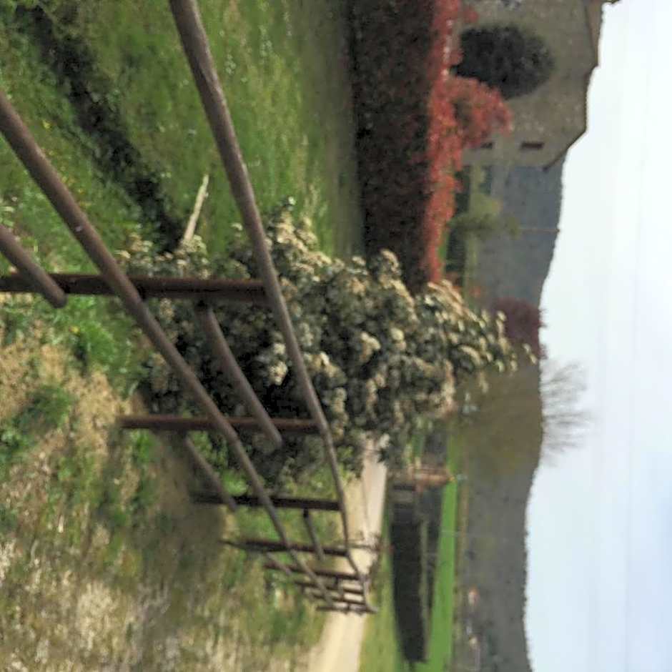 Azienda Agrituristica I Tre Casali