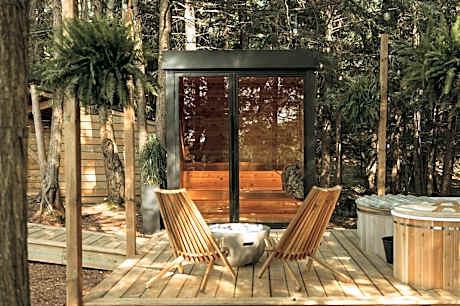 Aux Box Muskoka Modern Muskoka Bunkie