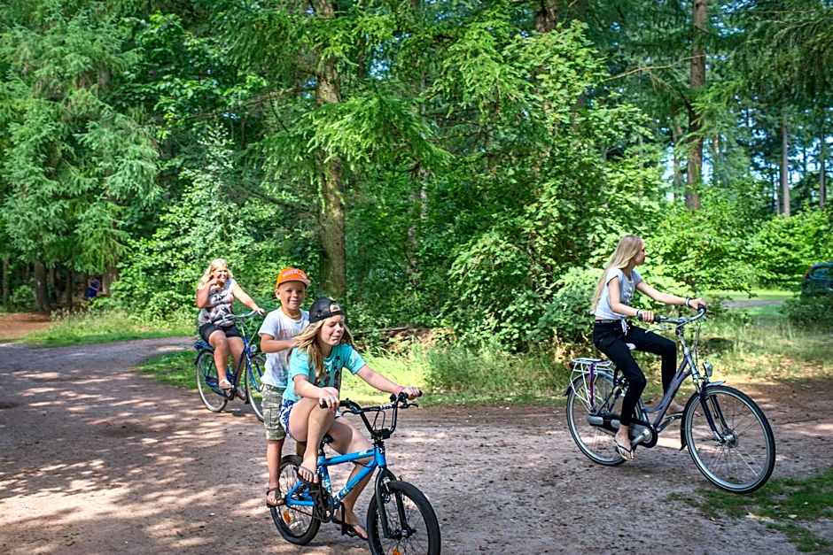 RCN Vakantiepark de Roggeberg