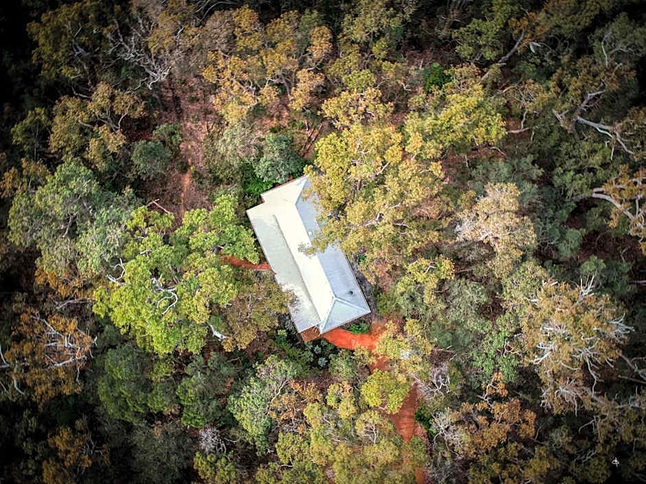 Forest Rise Chalets and Lodge