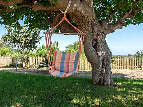 B&B Il Gelso Rooms