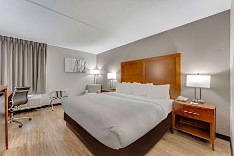 1 King Bed Nonsmoking Accessible