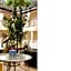 L.A. Sky Boutique Hotel