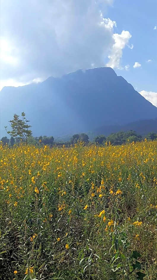 Ban Thung Talay Mok Chiangdao