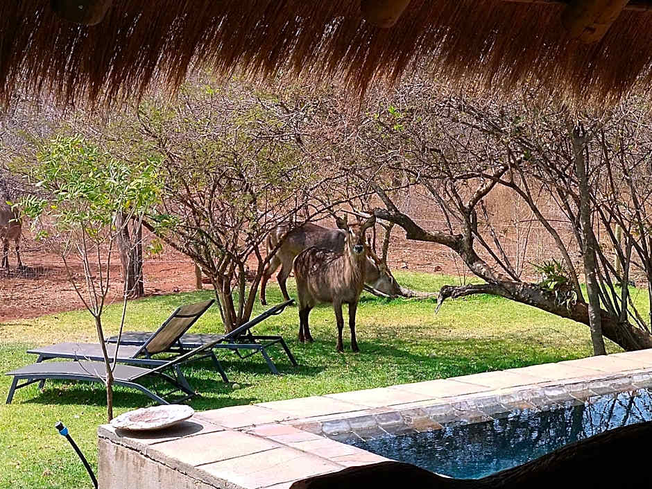 Call of the Wild Lodge