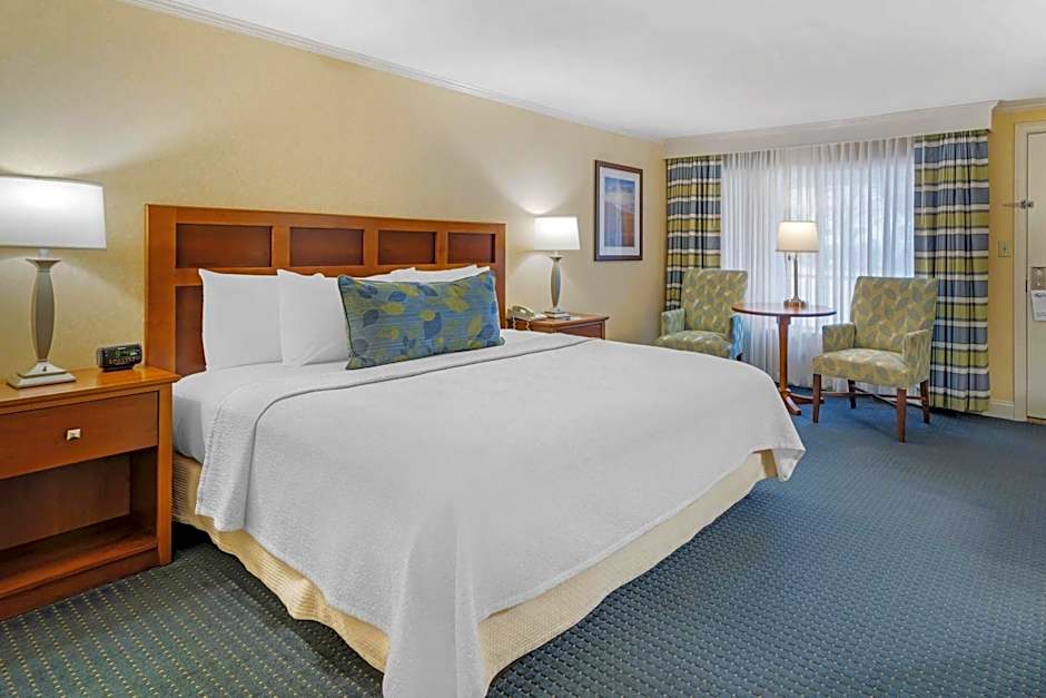Photo 1 of 5 of Deluxe Room 1 King Chase Building