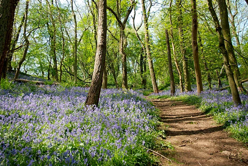 The Malvern Hills Hotel