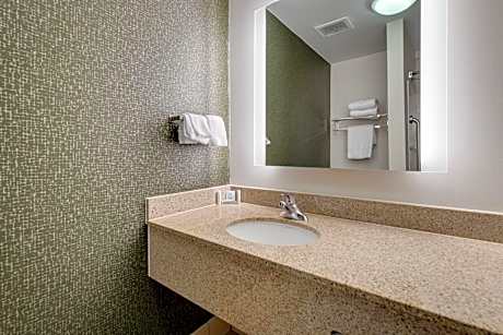 King Room with Roll-In Shower - Mobility Access/Hearing Accessible