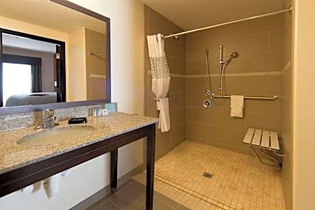 1 King Microwv/Fridge/Wet Bar Studio Suite Ns