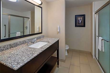 King Room - Hearing Access/Non-Smoking