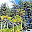 Woodlands Motel