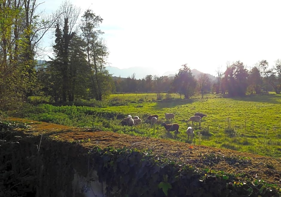 Domaine Lou Castet