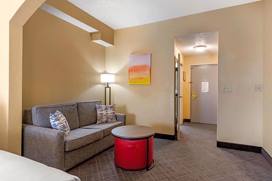 Comfort Inn & Suites At Stone Mountain