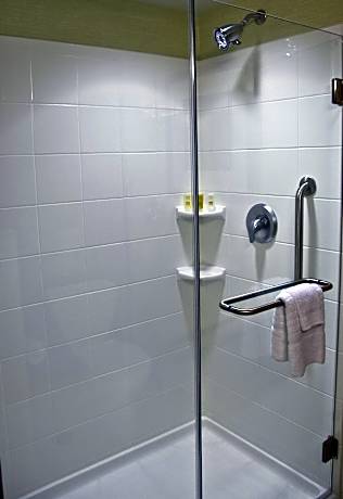 Room, 1 King Bed with Sofa bed (Mobility/Hearing Accessible, Tub) (1 King Bed and 1 Double Sofa Bed)