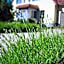 Hotel & Restaurant Waldblick