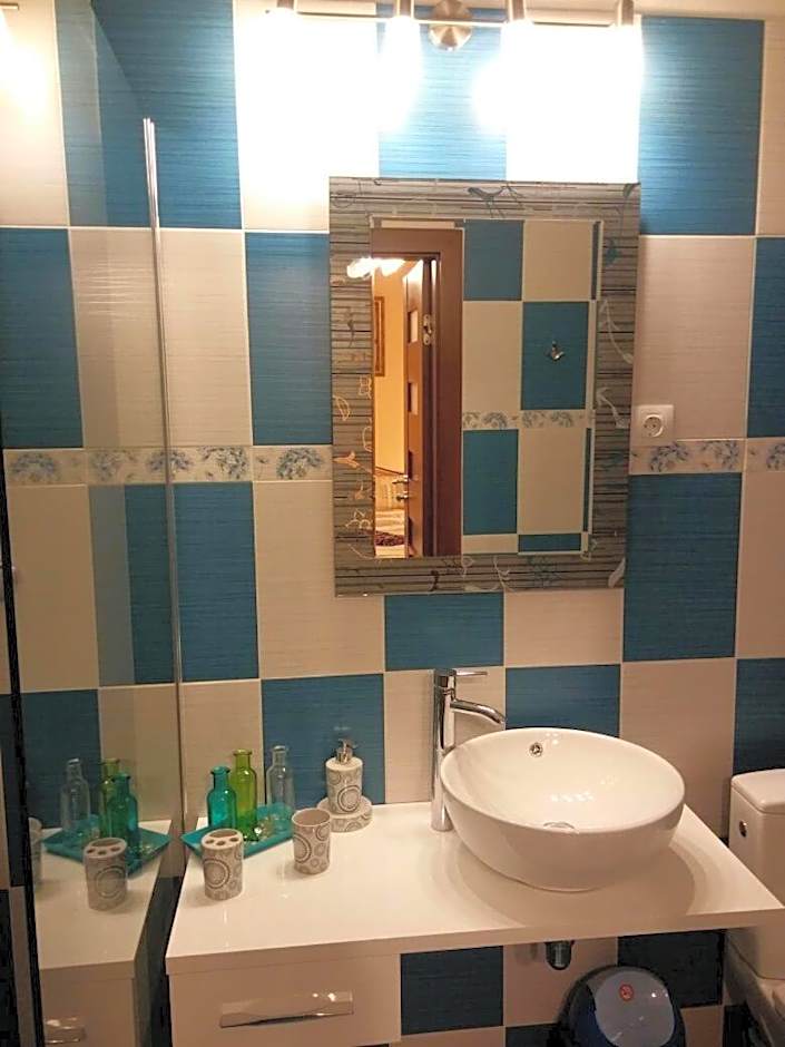 Camera tip economic Mozart