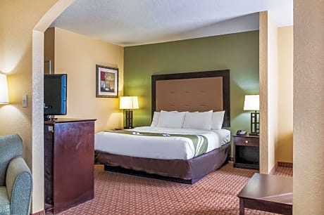 1 King Bed, Suite, Nonsmoking