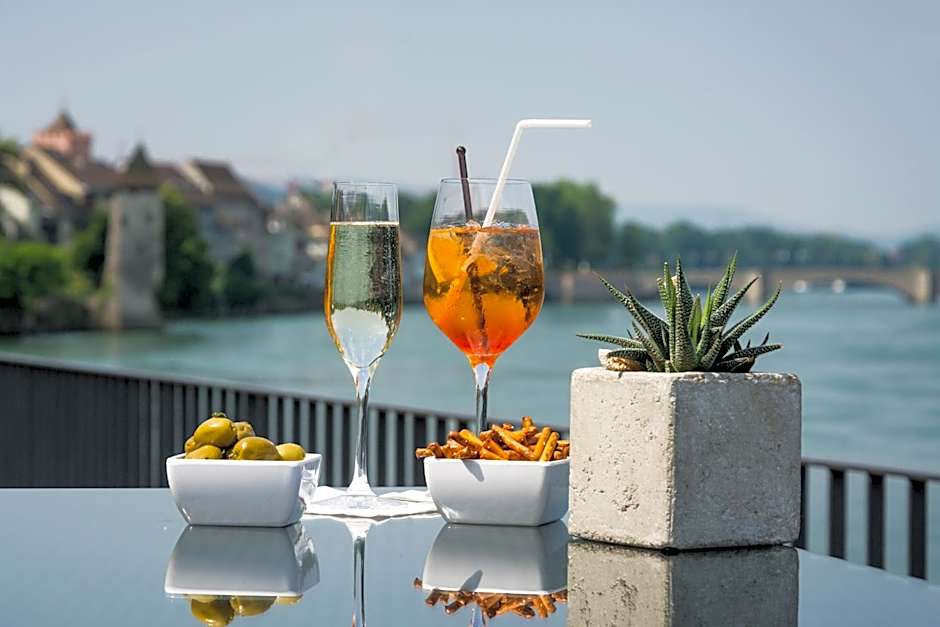 Park-Hotel am Rhein - Gesundheitshotel und Residenzen