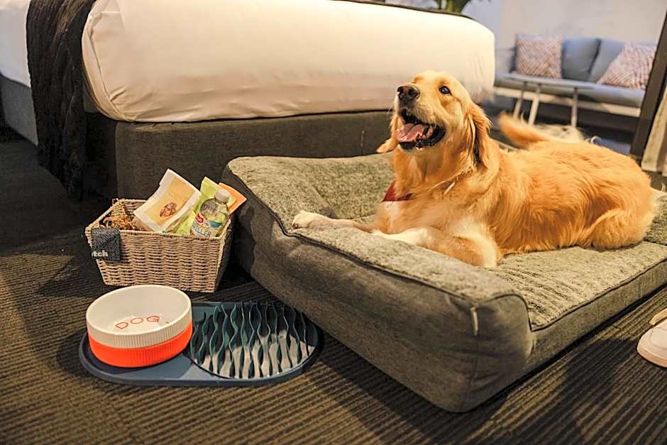 Sage Hotel James Street