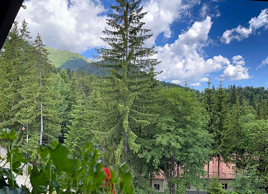 Casa Iris-Hotel & Restaurant