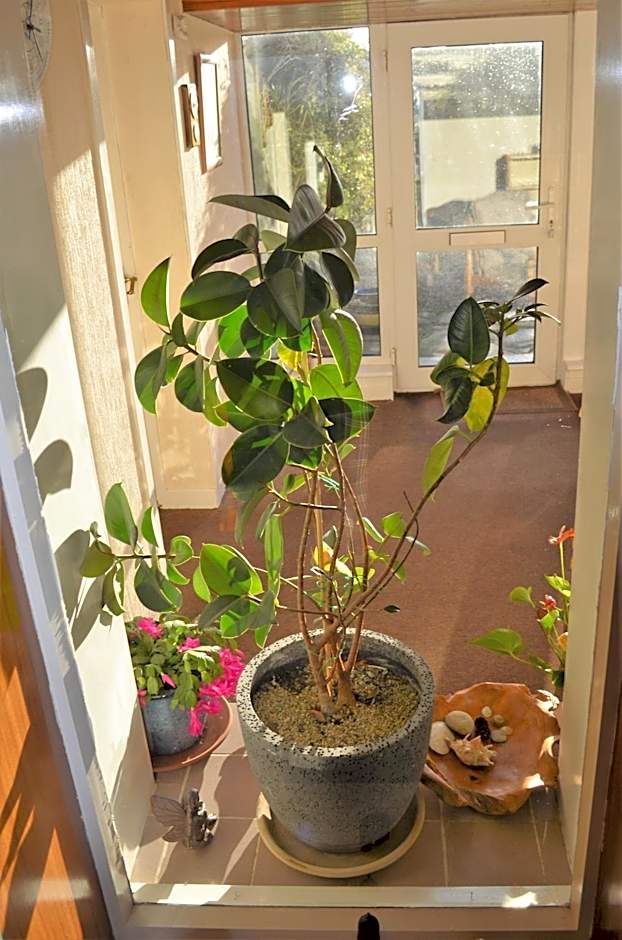 Aurora Bed & Breakfast