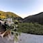 B&B Bouganville