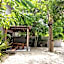 Hotel Casa Tortuga Tulum Cenotes Park Inclusive