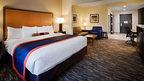 SUITE-1 KING BED,NSMK,50IN LED TV,MICROWV,REFRIG,SOFABED,FULL BREAKFAST