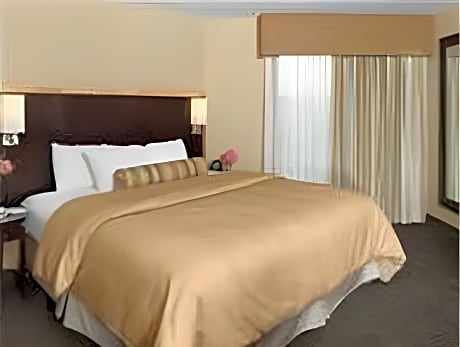 King Room - Non-Smoking