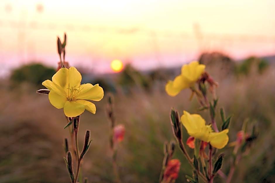 Tenterfield Lodge Caravan Park