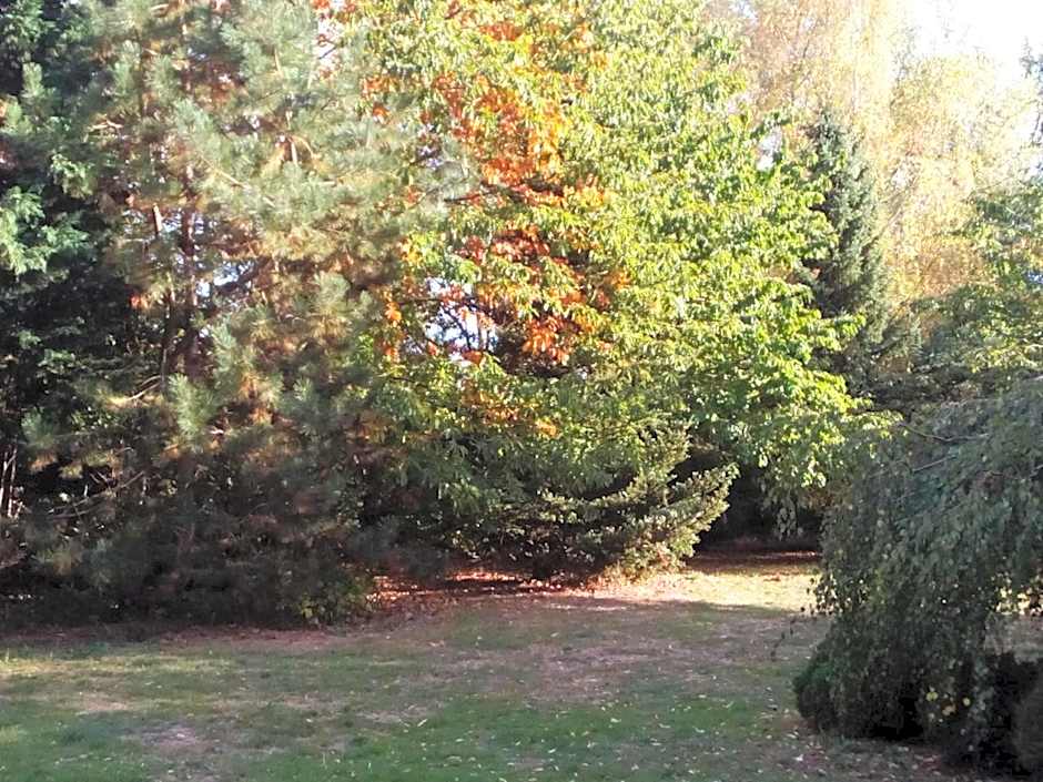 Hotel Leppiner Hof - B&B FRÜHSTÜCKSPENSION