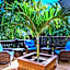 The Fairways Inn of Naples