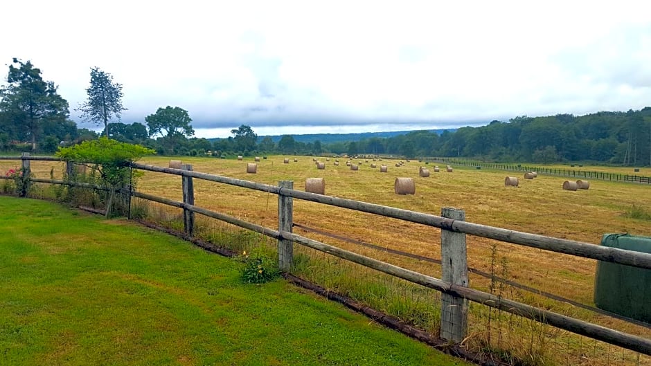 L'Herbe aux Vaches