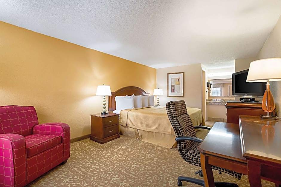 Rodeway Inn Metro Airport