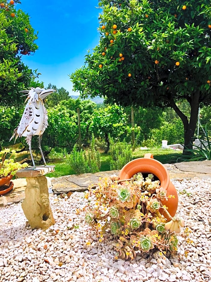 Quinta Quatro Ventos