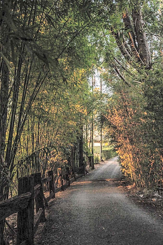 Escarpment Retreat & Day Spa for Couples