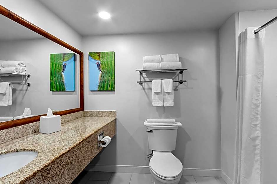 Red Lion Inn & Suites Goodyear - West Phoenix